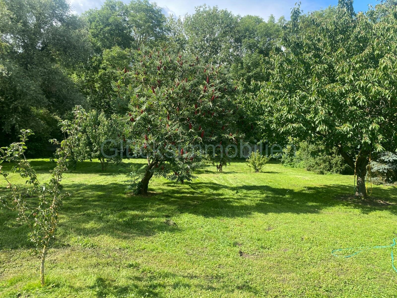 Wunderschönes, parkähnliches Baugrundstück in Haage 