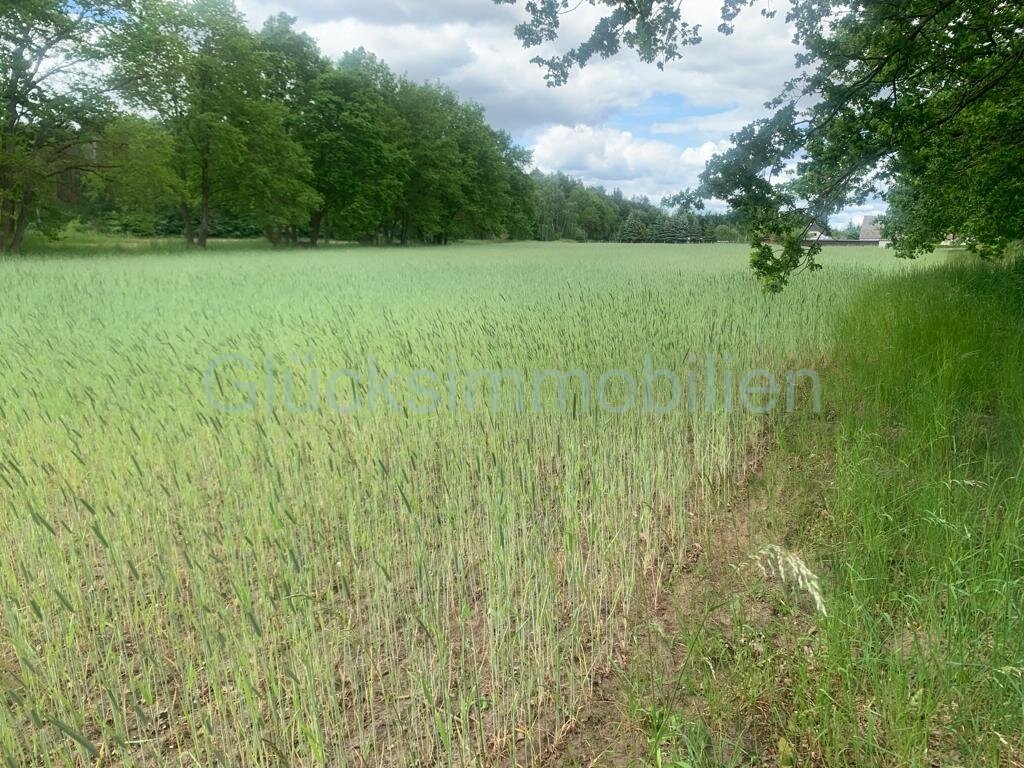 Top Gelegenheit - Baugrundstück(e) in Dannenwalde