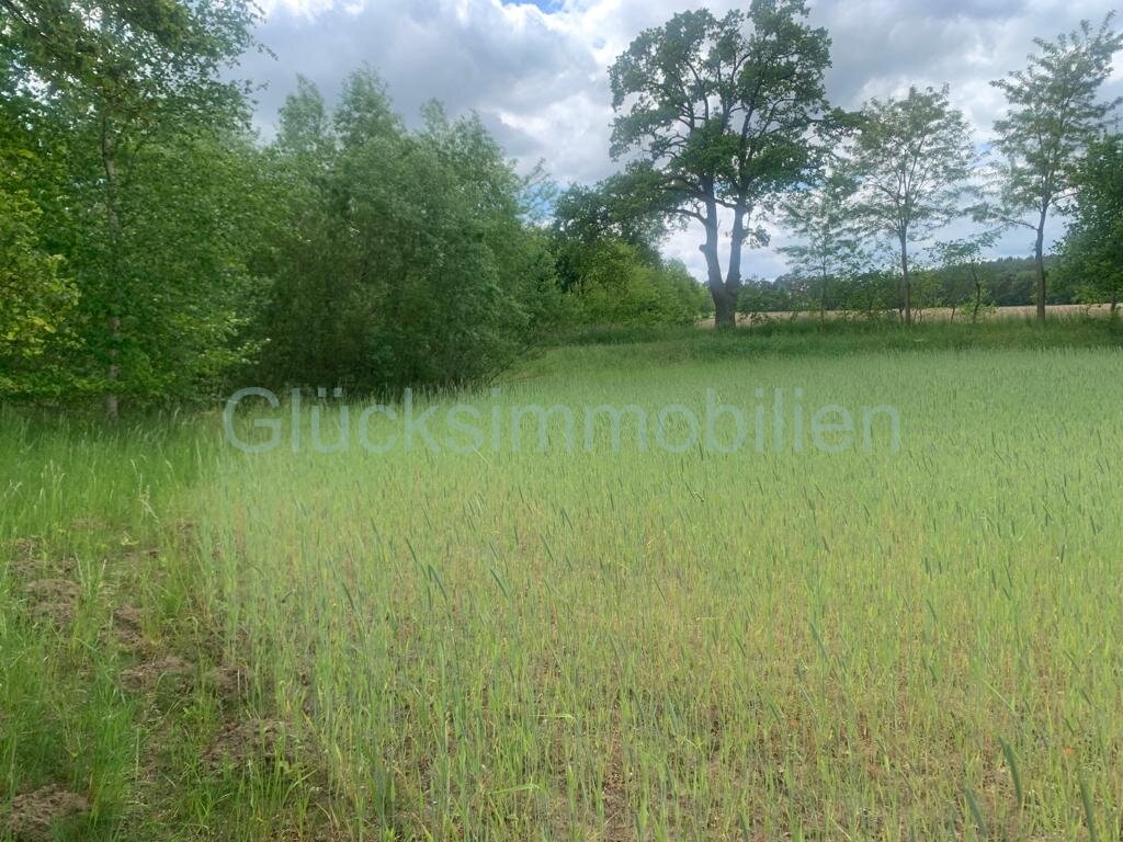 Top Gelegenheit - Baugrundstück(e) in Dannenwalde