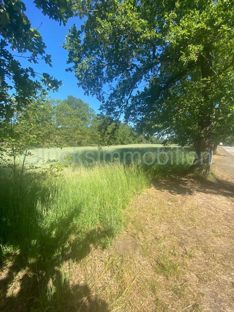 Top Gelegenheit - Baugrundstück(e) in Dannenwalde