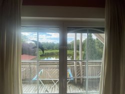 Ausblick Ausblick