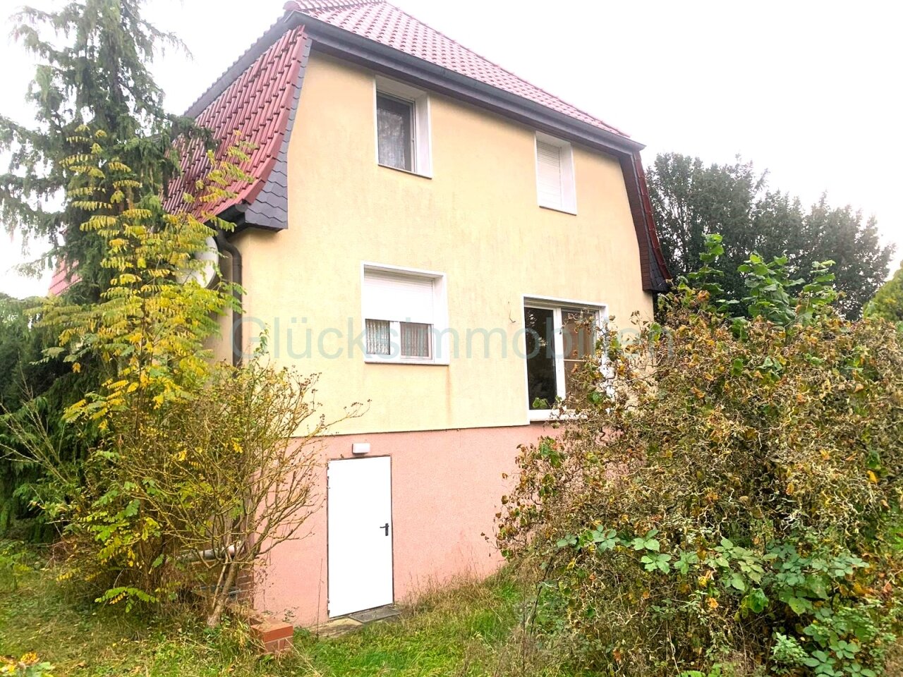 Blick vom Garten